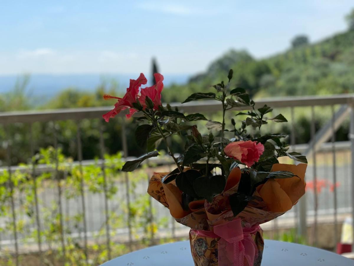 A Casa Di Silvia Apartment Gambassi Terme Bagian luar foto